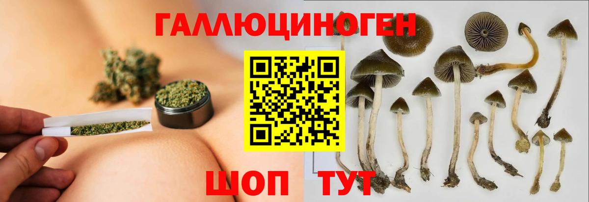 Менделеевск  Галлюциногенные грибы Magic Shrooms  Вход с VPN  Галлюциногенные грибы Magic Shrooms 